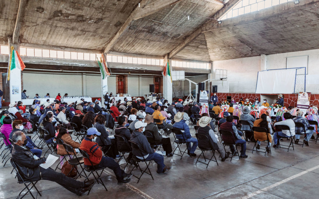 A call is made to defend the forests and the territory of the Sierra Norte de Puebla against extractivism and over-exploitation