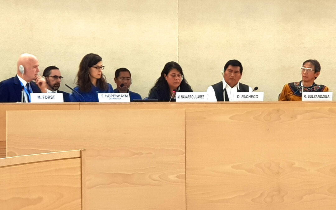 Participación de Magdalena Navarro, del Colectivo Regional en Defensa de los Bosques de la Sierra Norte de Puebla, en el Foro de la ONU sobre Empresas y Derechos Humanos.